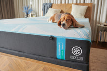 Load image into Gallery viewer, Tempur-Pedic - TEMPUR-Breeze® LuxeBreeze® Medium Hybrid Mattress (2023)