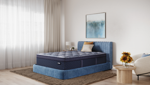 America's Mattress - Allegheny Firm Pillow Top Mattress