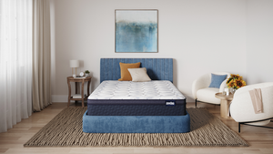 America's Mattress - Appalachian Plush Euro Top Mattress