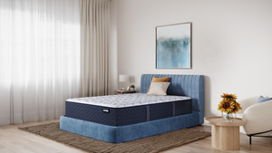 America's Mattress - Rockies Firm Pillow Top Mattress