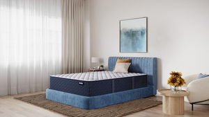 America's Mattress - Rushmore Extra Firm Mattress
