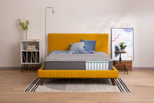 Load image into Gallery viewer, Simmons - Celebration Plush Mattress