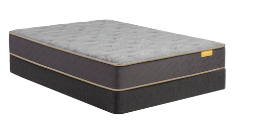 Simmons - Celebration Plush Mattress