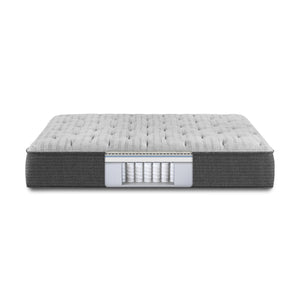 Beautyrest - Platinum Series - Medium Mattress